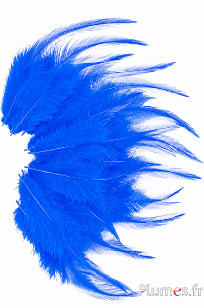 Gallo - 8-12 cm - turchese